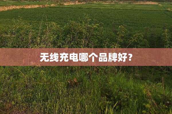 无线充电哪个品牌好？