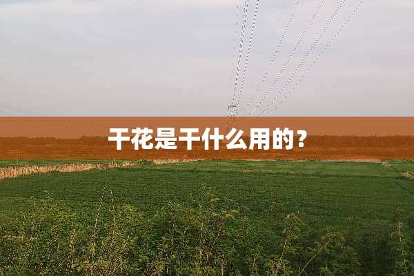 干花是干什么用的？