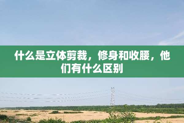 什么是立体剪裁，修身和收腰，他们有什么区别
