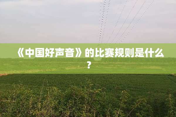 《中国好声音》的比赛规则是什么？