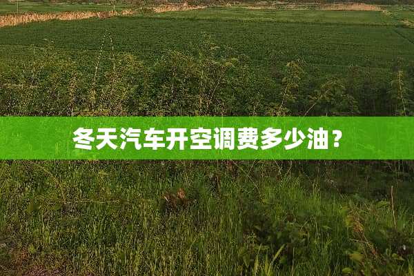冬天汽车开空调费多少油？