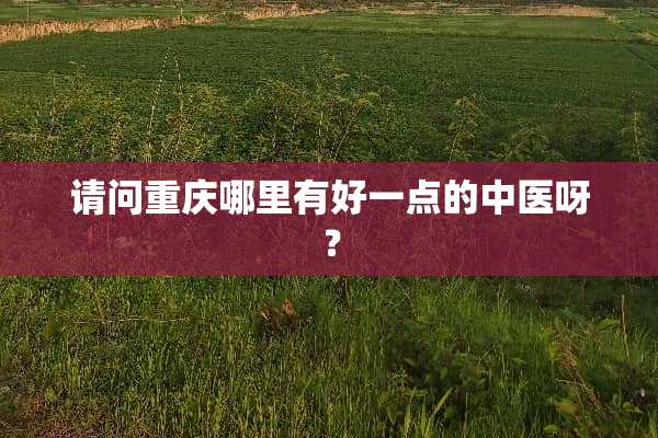 请问重庆哪里有好一点的中医呀？