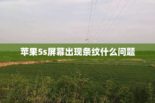 苹果5s屏幕出现条纹什么问题