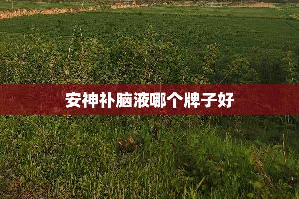 安神补脑液哪个牌子好