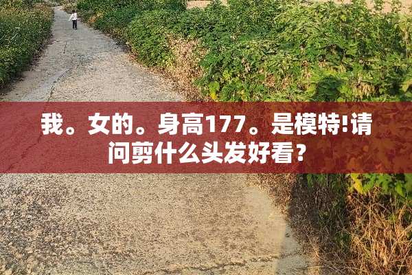 我。女的。身高177。是模特!请问剪什么头发好看？