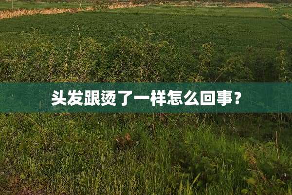头发跟烫了一样怎么回事？