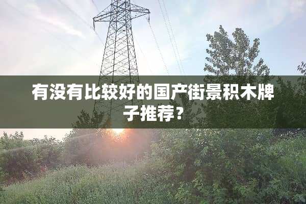 有没有比较好的国产街景积木牌子推荐？
