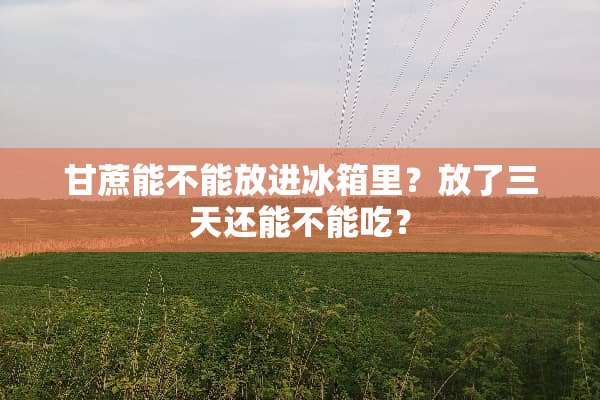 甘蔗能不能放进冰箱里？放了三天还能不能吃？