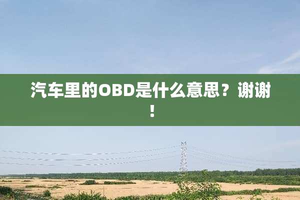 汽车里的OBD是什么意思？谢谢！
