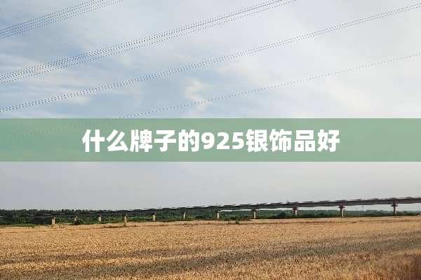 什么牌子的925银饰品好