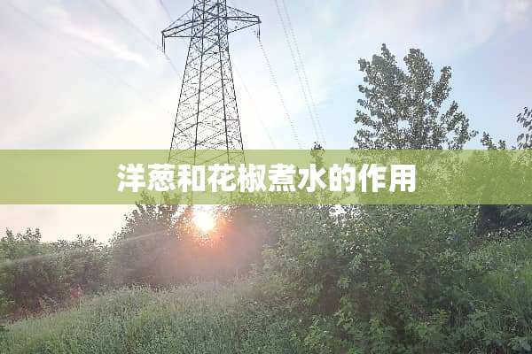 洋葱和花椒煮水的作用