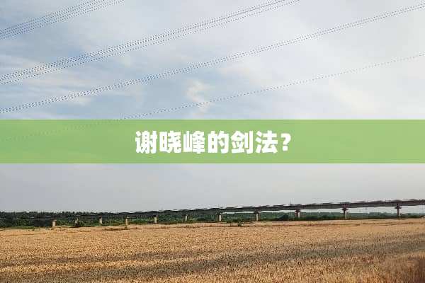 谢晓峰的剑法？