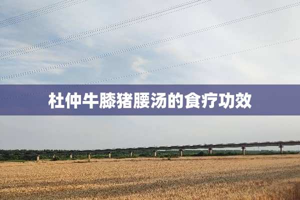 杜仲牛膝猪腰汤的食疗功效