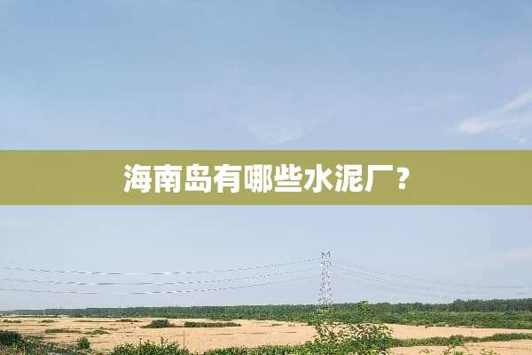 海南岛有哪些水泥厂？