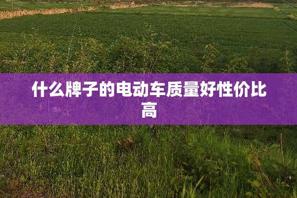 什么牌子的电动车质量好性价比高
