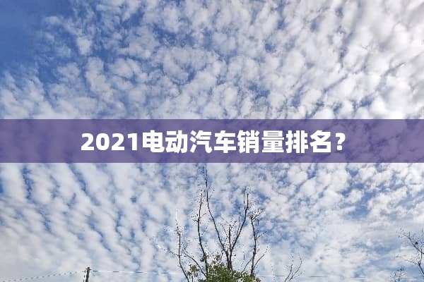 2021电动汽车销量排名？