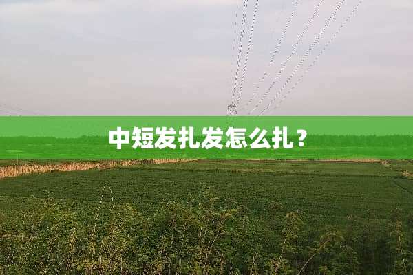 中短发扎发怎么扎？