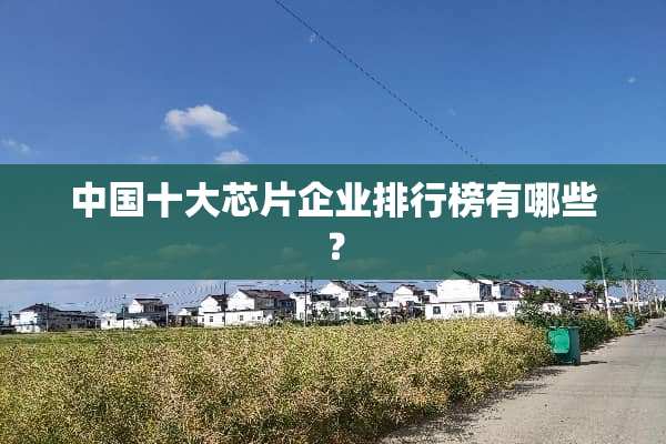 中国十大芯片企业排行榜有哪些？