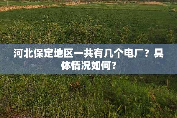 河北保定地区一共有几个电厂？具体情况如何？
