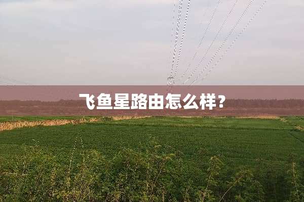 飞鱼星路由怎么样？