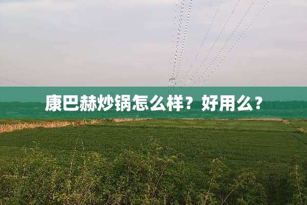 康**炒锅怎么样？好用么？