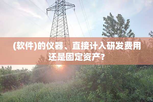(软件)的仪器、直接计入研发费用还是固定资产？