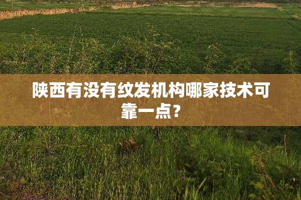 陕西有没有纹发机构哪家技术可靠一点？