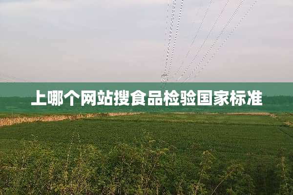 上哪个网站搜食品检验国家标准