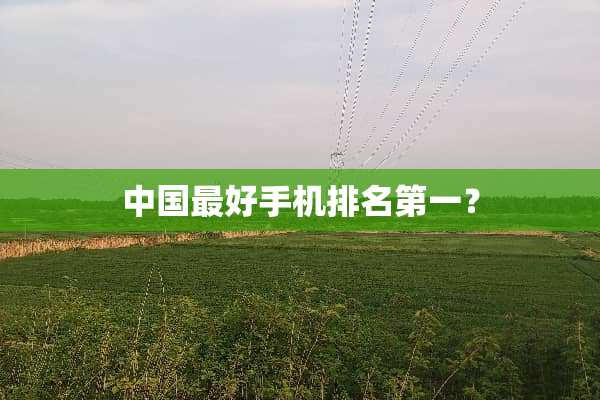 中国最好手机排名第一？
