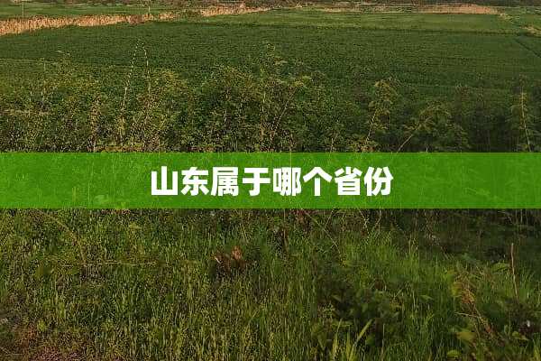 山东属于哪个省份