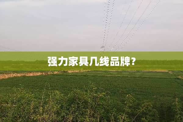 强力家具几线品牌？