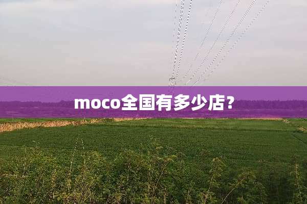 moco全国有多少店？
