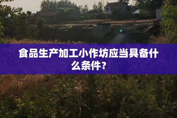 食品生产加工小作坊应当具备什么条件？