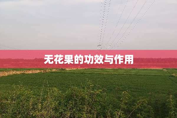 无花果的功效与作用