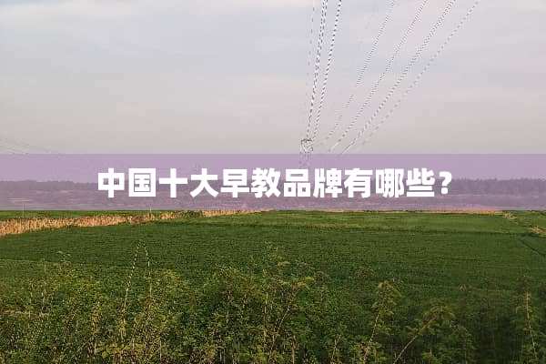 中国十大早教品牌有哪些？