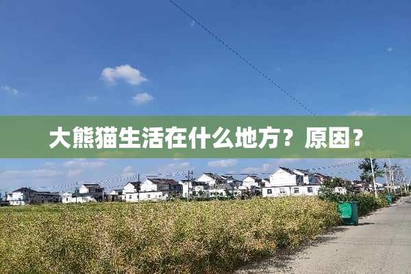 大熊猫生活在什么地方？原因？