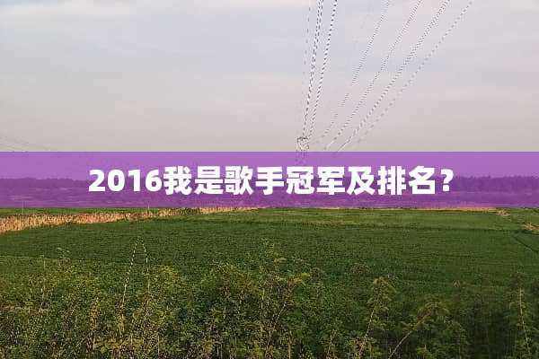 2016我是歌手冠军及排名？