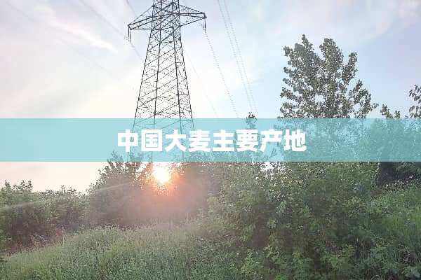 中国大麦主要产地