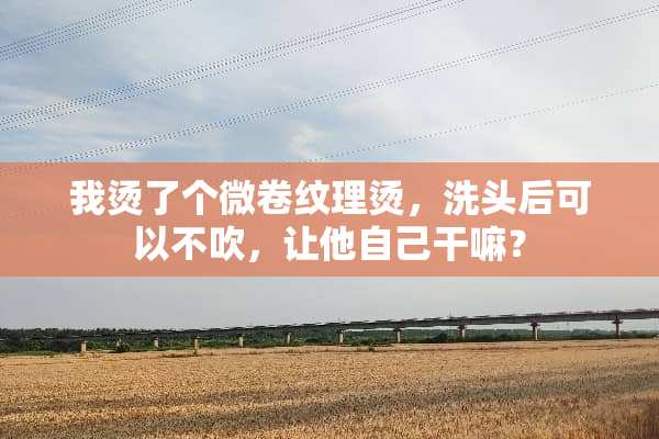 我烫了个微卷纹理烫，洗头后可以不吹，让他自己干嘛？
