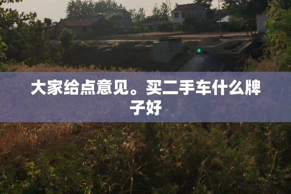 大家给点意见。买二手车什么牌子好