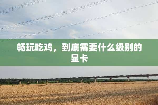 畅玩吃鸡，到底需要什么级别的显卡