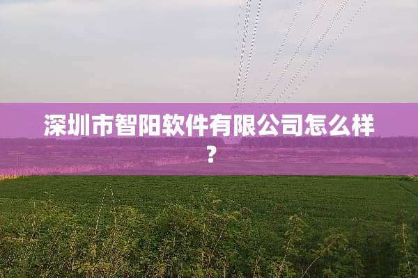 深圳市智阳软件有限公司怎么样？