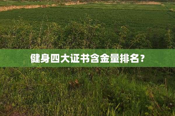健身四大证书含金量排名？