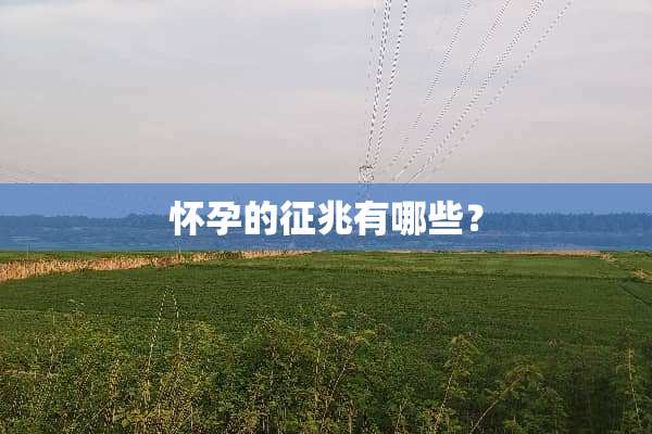 怀孕的征兆有哪些？