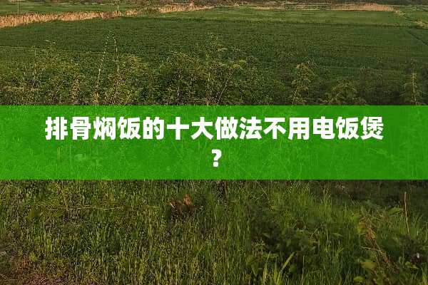 排骨焖饭的十大做法不用电饭煲？