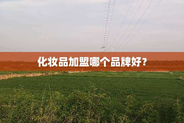 化妆品加盟哪个品牌好？