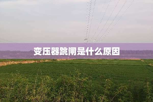 变压器跳闸是什么原因