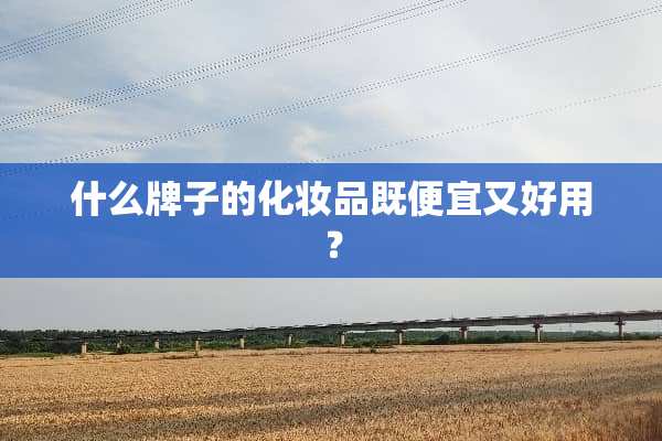 什么牌子的化妆品既便宜又好用？
