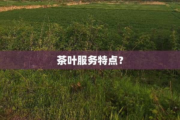 茶叶服务特点？