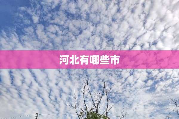 河北有哪些市